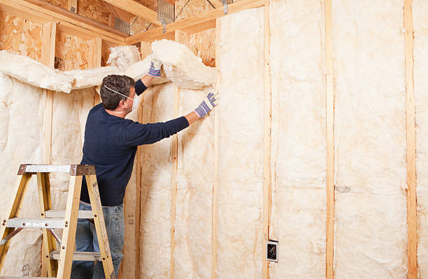 Best Insulation Removal  in USA